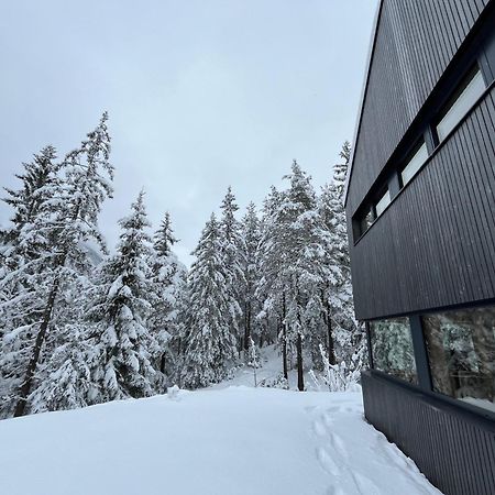Chalet Dachstein Ramsau am Dachstein Buitenkant foto